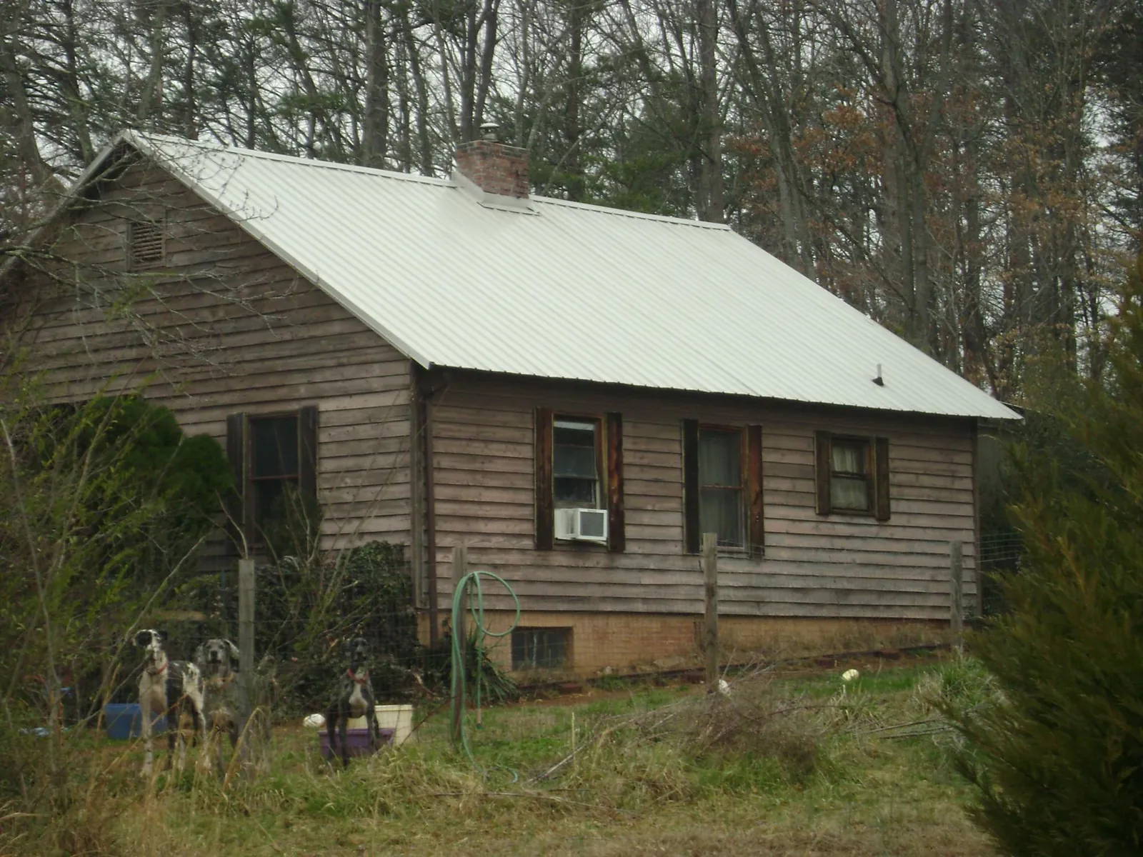 White metal roof on an old wood sided farmhouse, from a Asphalt Shingle Roof Repair job in Hamilton